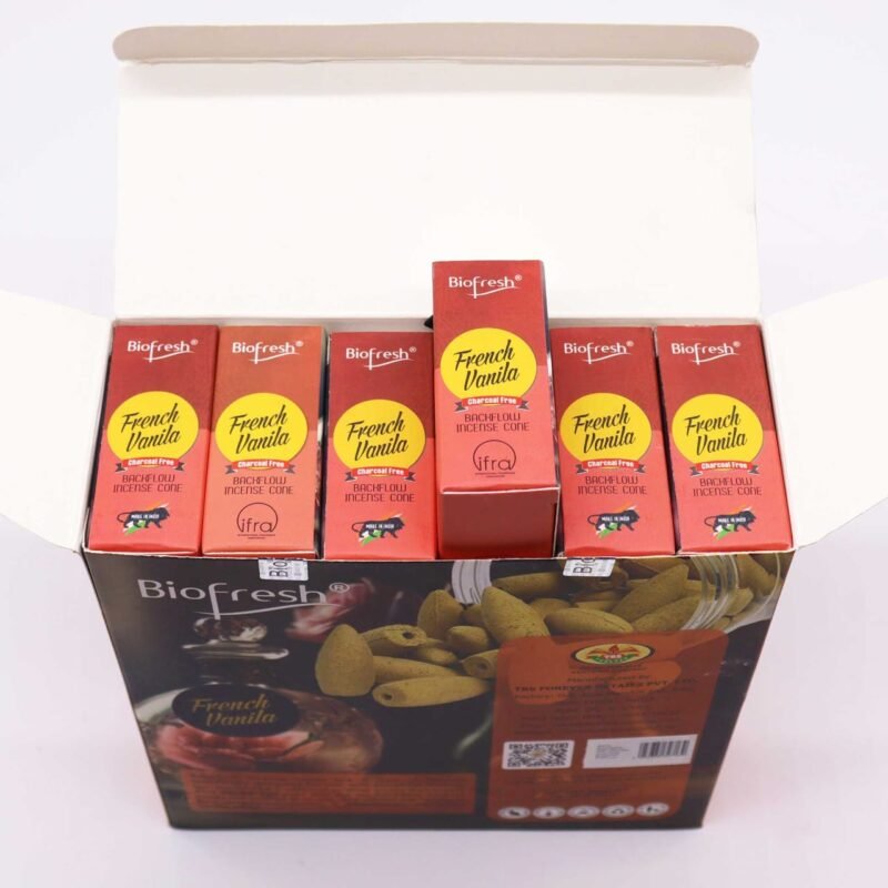 WhatsApp Image 2024-11-16 at 22.25.55 French Vanilla