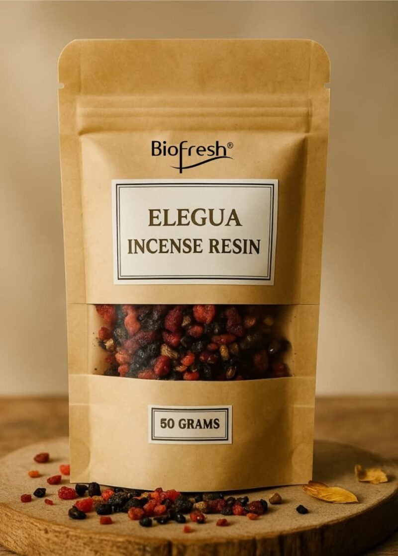 7 Elegua